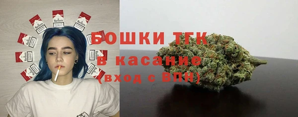 крисы Горно-Алтайск
