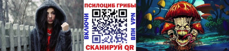 Псилоцибиновые грибы Psilocybe  KRAKEN онион  Малмыж 